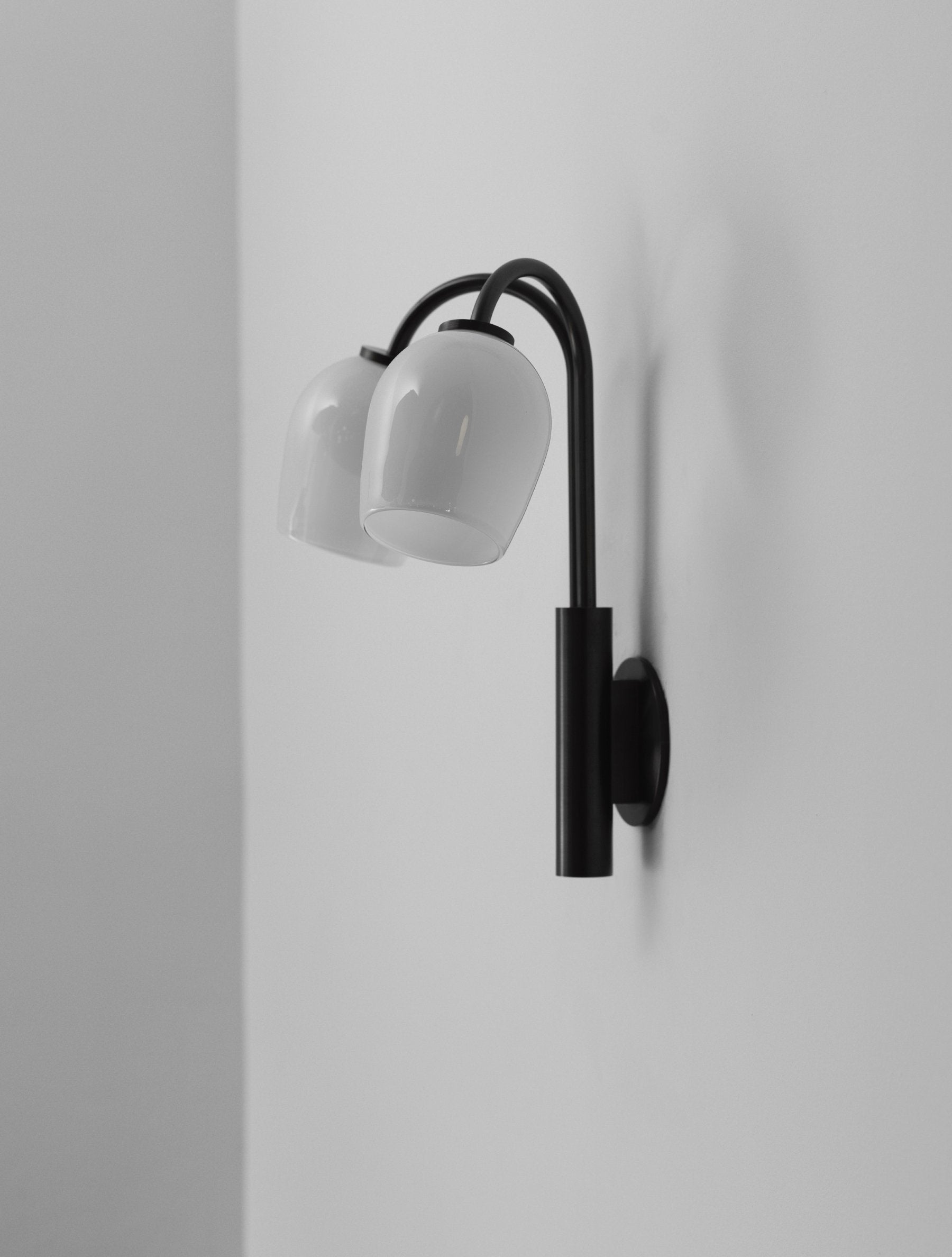 Dual Crux Sconce